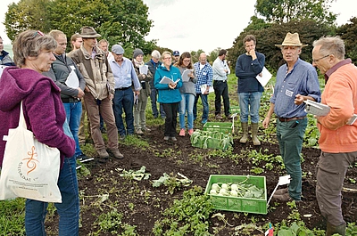 Züchtungs- und Sortentag am Obergrashof 2019